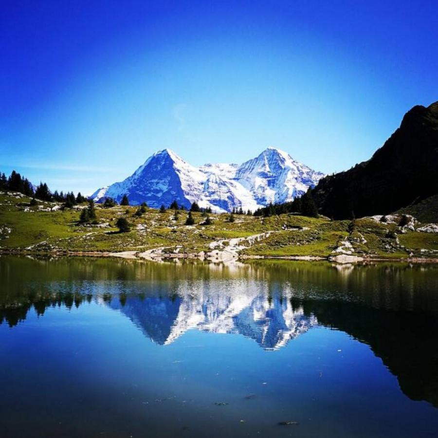 Swisshut Stunning Views Alps Lake - Chalet Erli Därligen Buitenkant foto