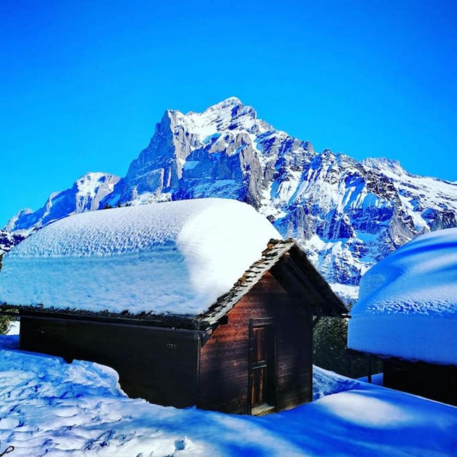 Swisshut Stunning Views Alps Lake - Chalet Erli Därligen Buitenkant foto